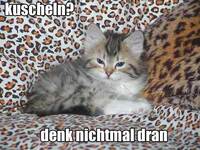 Pfostenbild